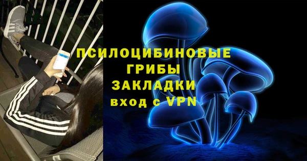 соль ск Верея